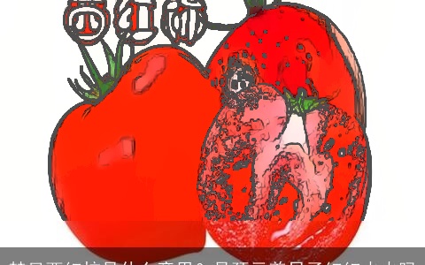 梦见西红柿是什么意思？是预示着日子红红火火吗