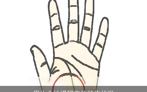 用生命线提醒你的健康状况