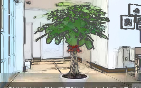 正财位摆放什么最好(客厅财位放什么植物最好风水)