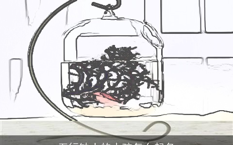 五行缺土的小孩怎么起名