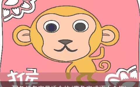 属兔的名字最适合的(带兔字成语大全集)