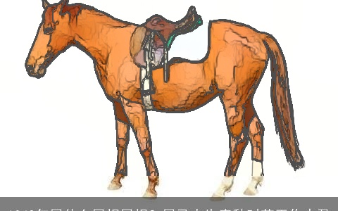 1942年属什么属相属相？属马人生春秋时节工作丰盈