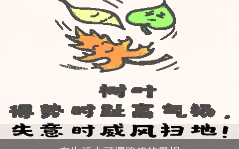 在生活中可谓路痴的属相