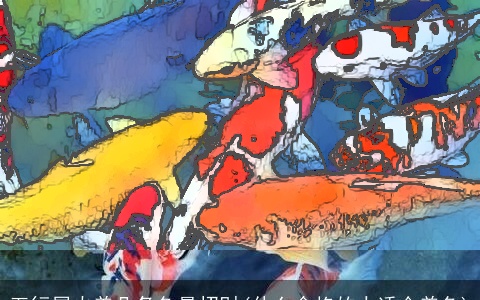 五行属火养几条鱼最招财(什么命格的人适合养鱼)