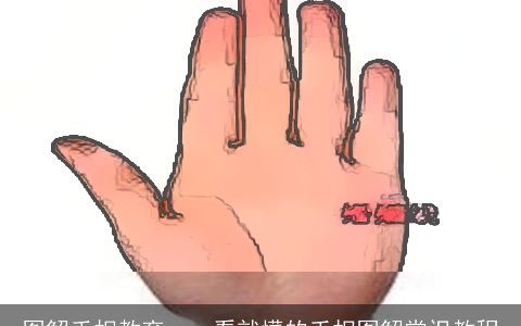 图解手相教育，一看就懂的手相图解常识教程