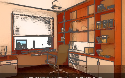 书房里哪些类型书本会影响命运