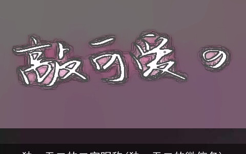 独一无二的二字昵称(独一无二的微信名)