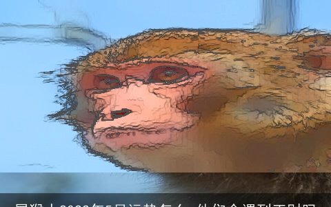 属猴人2022年5月运势怎么 他们会遇到正财吗