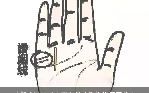 才智线断开呈上下两条的手相代表着什么