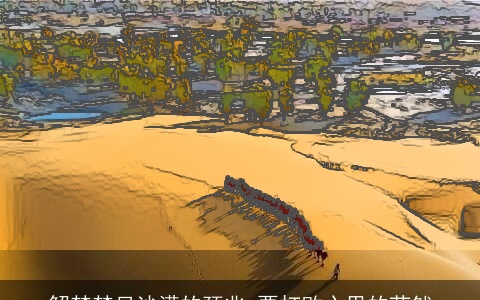 解梦梦见沙漠的预兆 要打败心里的茫然