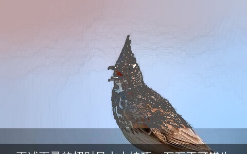 百试百灵的招财风水小技巧，万万不可错失