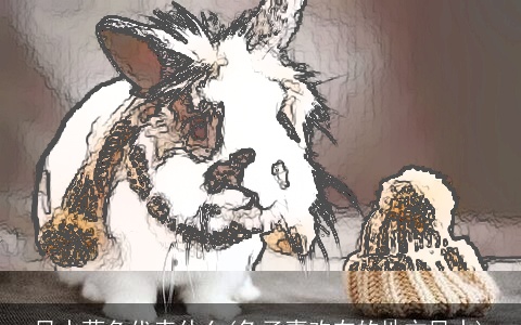 风水蓝色代表什么(兔子喜欢在的地方风水)