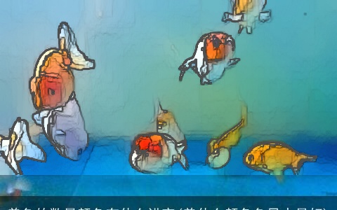 养鱼的数量颜色有什么讲究(养什么颜色鱼风水最好)