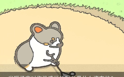 当狮子座对你没感觉的时分是什么姿态的？