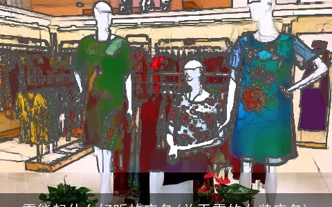 雪能起什么好听的店名(关于雪的女装店名)