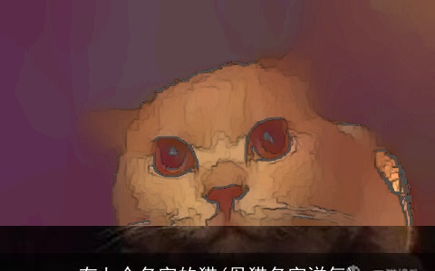 有七个名字的猫(母猫名字洋气)