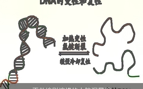 不做编剧惋惜的大脑洞属相