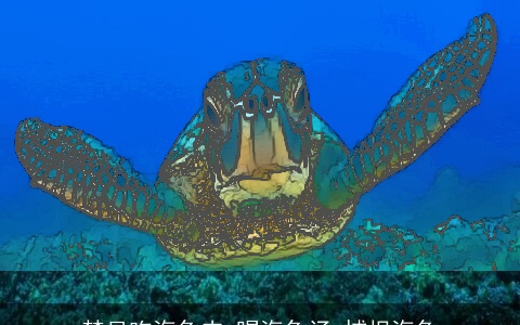 梦见吃海龟肉 喝海龟汤 捕捉海龟