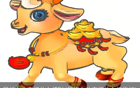 属蛇办公室摆什么招财(属猪办公室摆什么植物好)