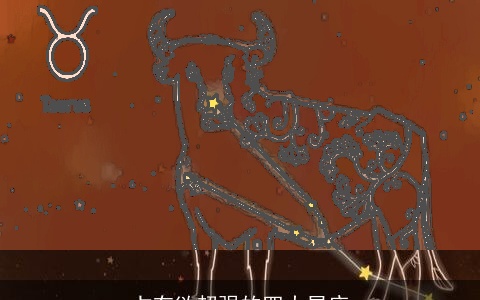 占有欲超强的四大星座