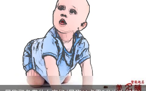 属狗取名带什么字好(属狗11点零2分出生好吗)