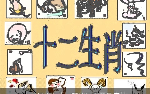 十二属相女中，哪些属相票最痴情