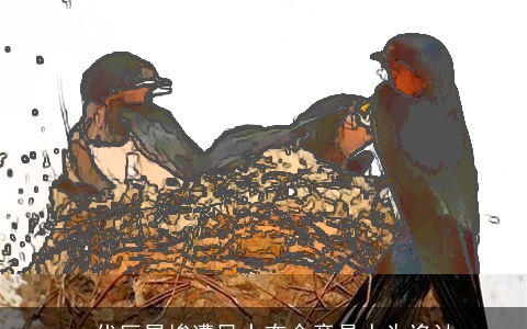 一代巨星惨遭风水夺命竟是人为诡计