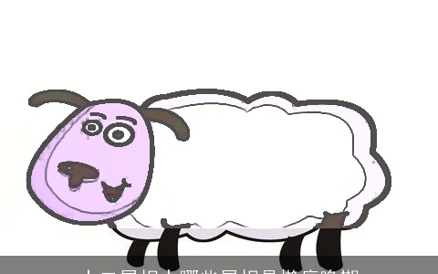 十二属相中哪些属相是懒癌晚期