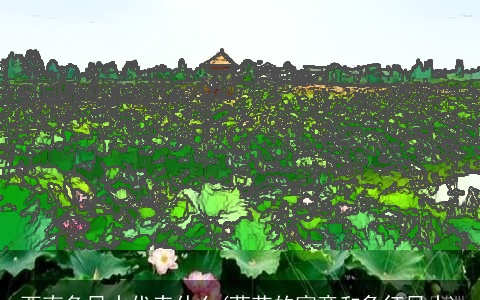 西南角风水代表什么(荷花的寓意和象征风水)