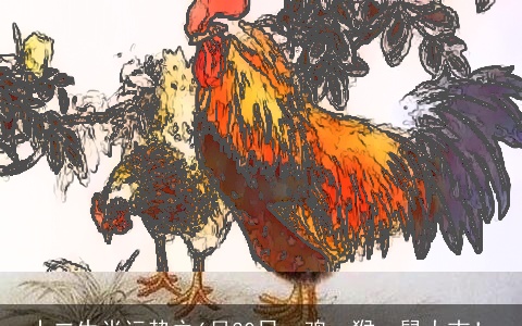 十二生肖运势之6月30日，鸡、猴、鼠大吉！