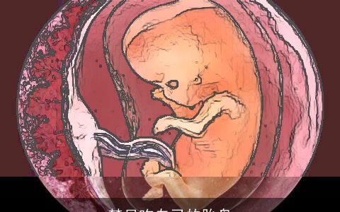 梦见吃自己的胎盘