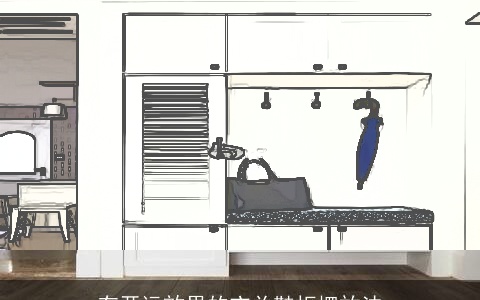 有开运效果的玄关鞋柜摆放法