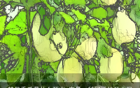 梦见香瓜是什么预兆 它是一种好运的预兆吗