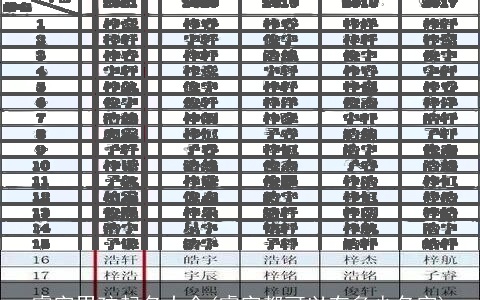 睿字男孩起名大全(睿字都可以有多少名字)