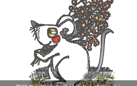 属鼠名人排行榜(属鼠的名人成功人士)