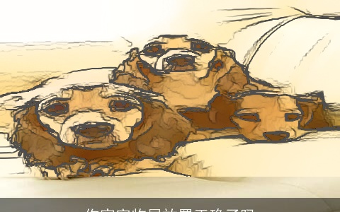 你家宠物屋放置正确了吗