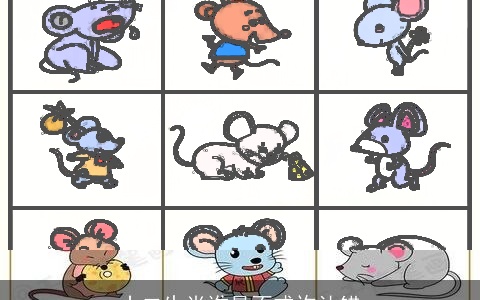 十二生肖谁最不或许认错