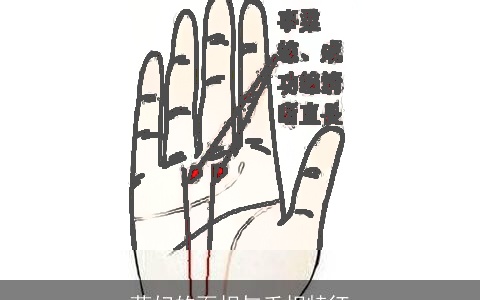 荡妇的面相与手相特征