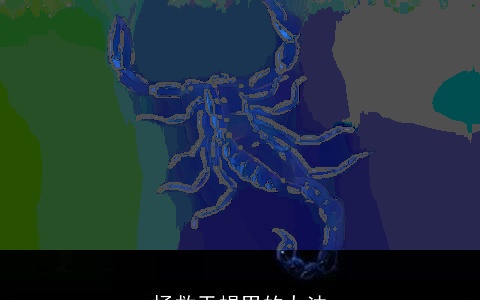 拯救天蝎男的办法