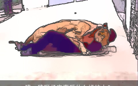 猜一猜狮子座喜爱什么样的人？