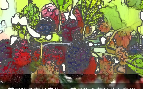 梦见吃桑葚代表什么 梦见吃桑葚是什么意思