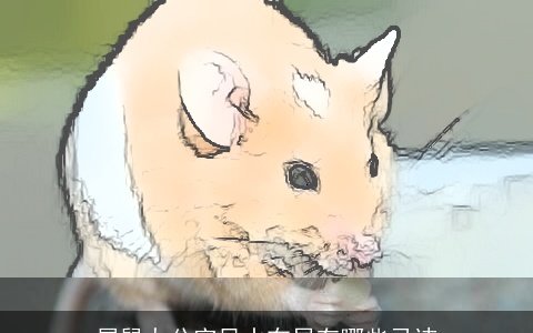 属鼠办公室风水布局有哪些忌讳