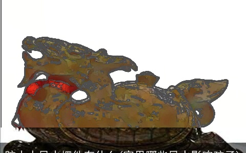 防小人风水摆件有什么(家里哪些风水影响孩子)