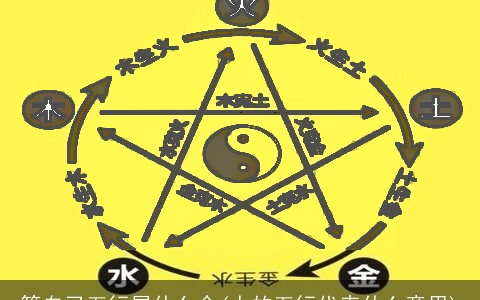 算自己五行属什么命(人的五行代表什么意思)