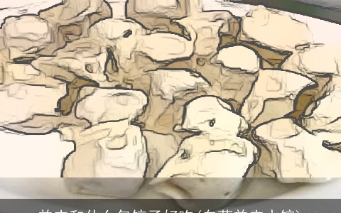 羊肉和什么包饺子好吃(白菜羊肉水饺)