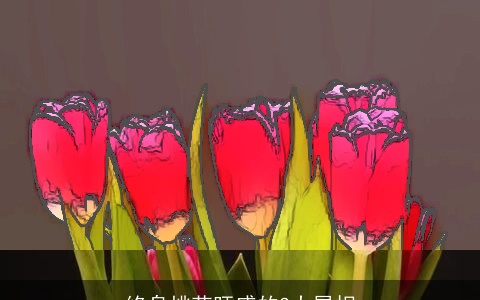 终身桃花旺盛的3大属相