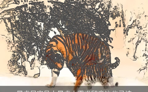 属虎居家风水属虎人需求留意这些忌讳