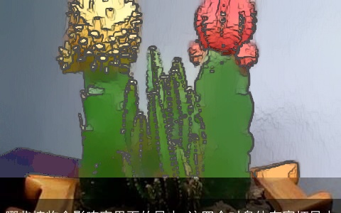 哪些植物会影响家里面的风水 这四个对身体有害坏风水