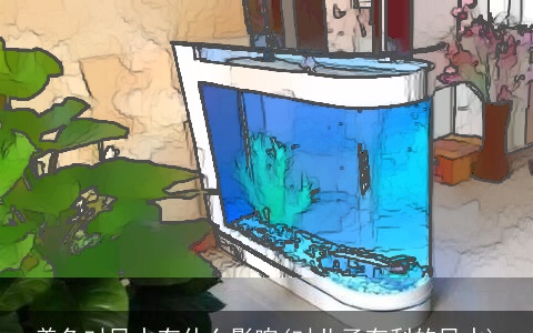 养鱼对风水有什么影响(对儿子有利的风水)