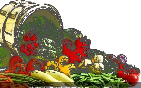 蔬菜小名(蔬菜店起名大全集)